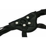 V4HC1F9DFE557B7A5625404164D93391253R7230706P9