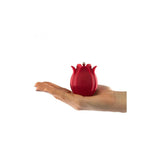 V4HFB0FAECB9A7DCACD0275E496881B253BR4779595P5